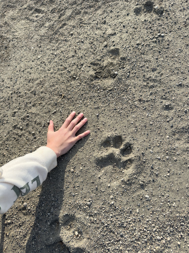 Behind the scenes on safari in Tanzania