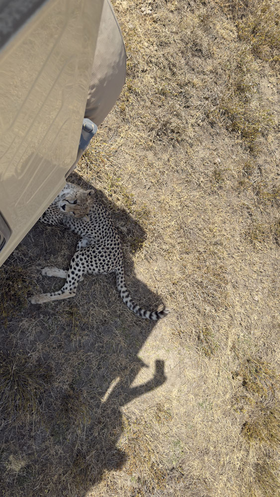 Behind the scenes on safari in Tanzania